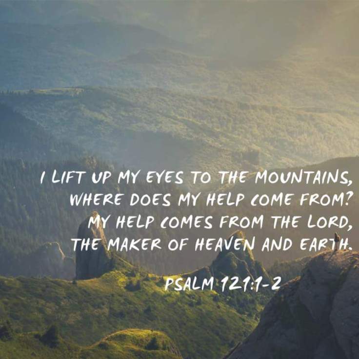 FB_IMG_1503267232508